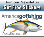 Newsletter Newsletter