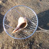 Sand Dipper with Lanyard - Blue Sand Dipper with Lanyard - Blue